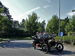 2019-Parel der Voorkempen-Bruno from Belgium